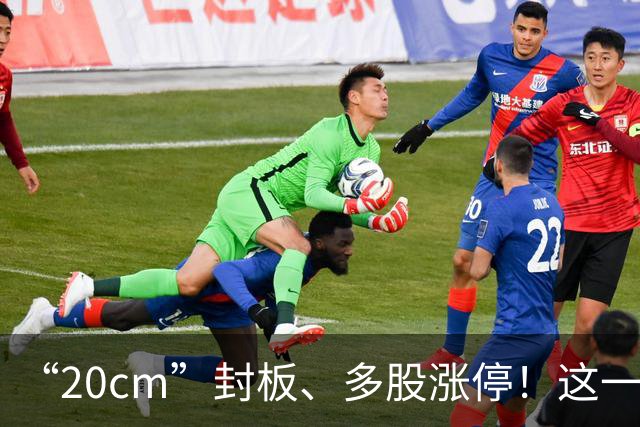 “20cm”封板、多股涨停！这一概念，突然火了