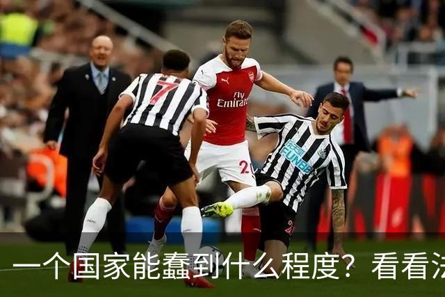 一个国家能蠢到什么程度？看看法国就明白了：法国黑人接近800万，巴黎新生儿里70%是黑人