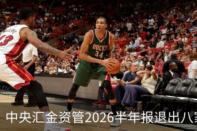 中央汇金资管2026半年报退出八家火电上市公司前十大股东名单！