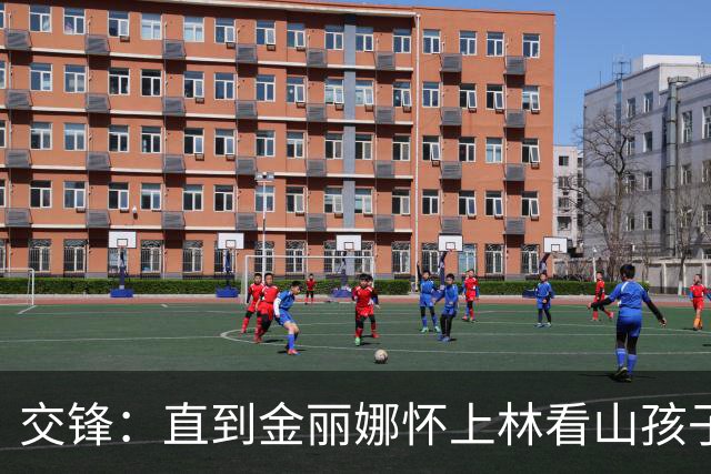 交锋：直到金丽娜怀上林看山孩子，才知，马憩叛变藏着另一层真相