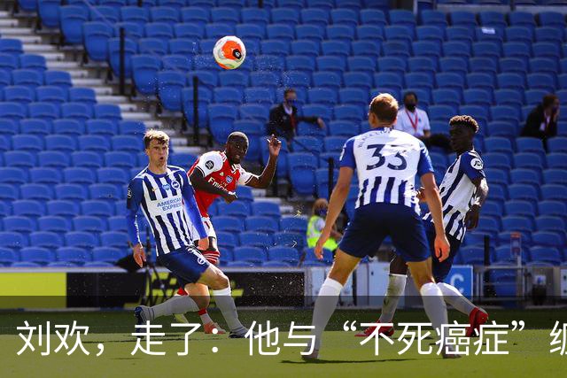 刘欢，走了：他与“不死癌症”缠斗的后半生