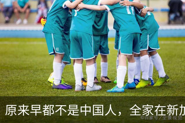 原来早都不是中国人，全家在新加坡享福，半年从中国赚走200多亿
