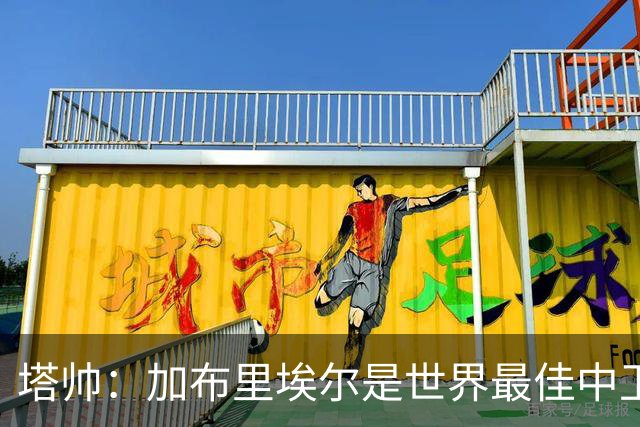 塔帅：加布里埃尔是世界最佳中卫之一，他在两个禁区的作用太强了