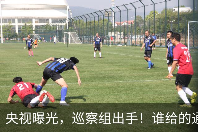 央视曝光，巡察组出手！谁给的通关？伪造材料载着"炸弹"跑了16年