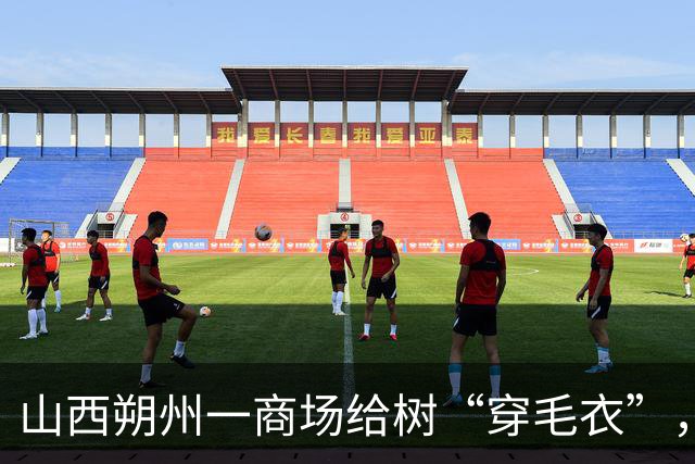 山西朔州一商场给树“穿毛衣”，形态各异的猫咪造型引市民打卡拍照：很可爱，也感觉到这座城市的温暖