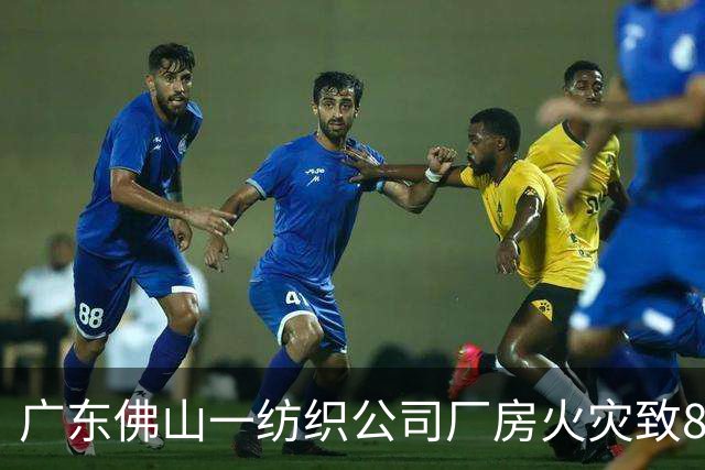 广东佛山一纺织公司厂房火灾致8人遇难；亲历者讲述：厂区突然断电，浓烟滚滚，火势蔓延很快