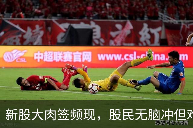 新股大肉签频现，股民无脑冲但难中签，掌握技巧提高打新概率！