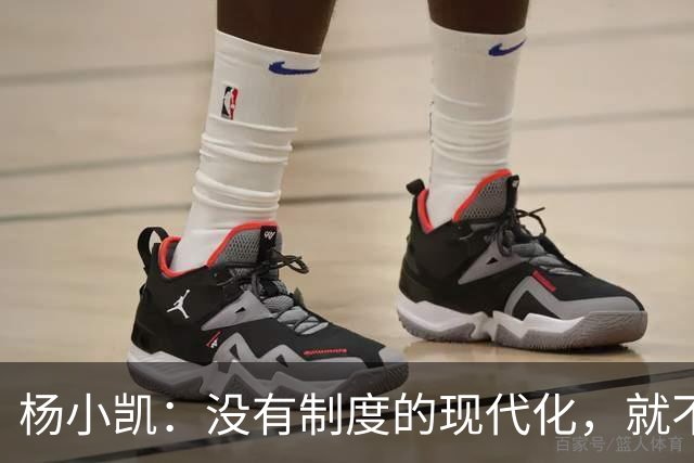 杨小凯：没有制度的现代化，就不会有真正的工业化