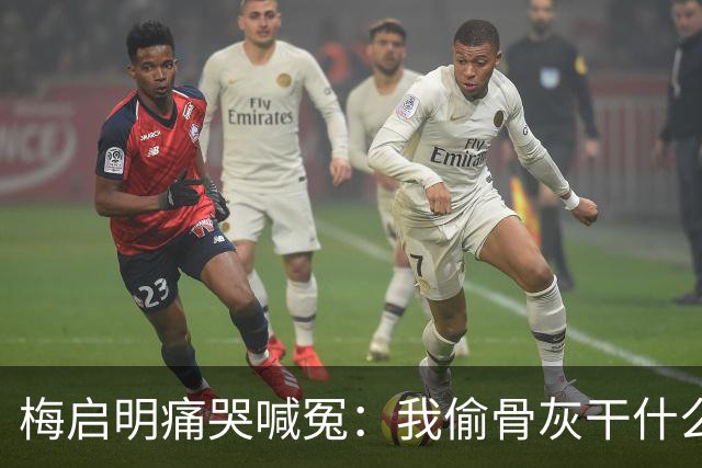 梅启明痛哭喊冤：我偷骨灰干什么？那是我亲妹!