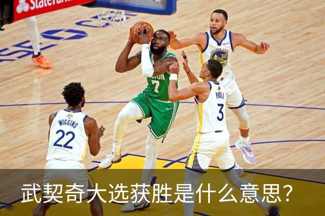 武契奇大选获胜是什么意思？