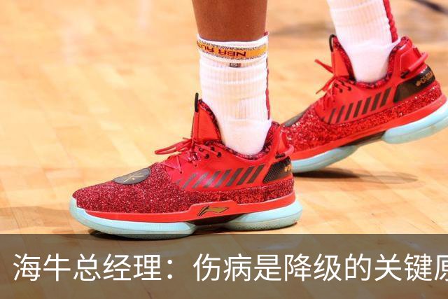 海牛总经理：伤病是降级的关键原因；会以最短时间重返中超