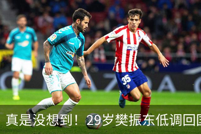 真是没想到！29岁樊振东低调回国仅1天，重返国乒风波再起！回不回国家队，王励勤早已把话挑明，球迷直呼看懂了