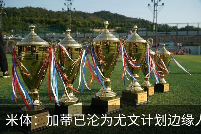 米体：加蒂已沦为尤文计划边缘人物，冬窗有可能离队