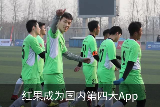 红果成为国内第四大App