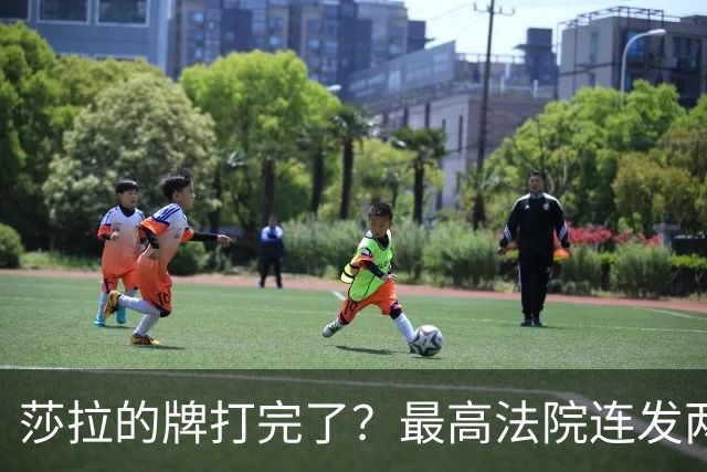 莎拉的牌打完了？最高法院连发两判，12人罢免参议长居然合法