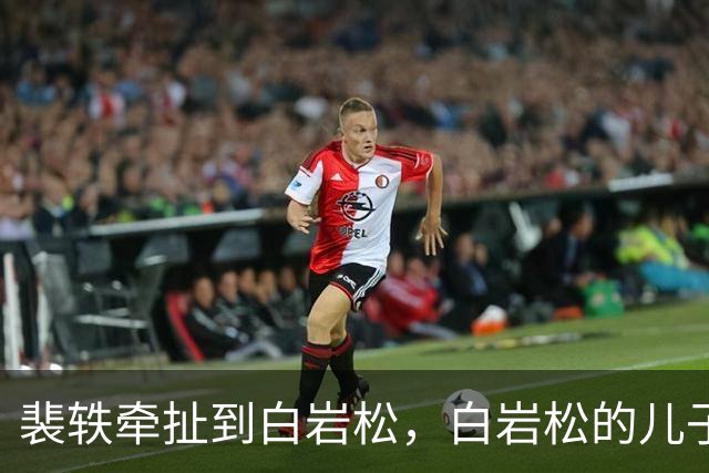 裴轶牵扯到白岩松，白岩松的儿子在英国读蒙古史，回国到中央民族大学任教