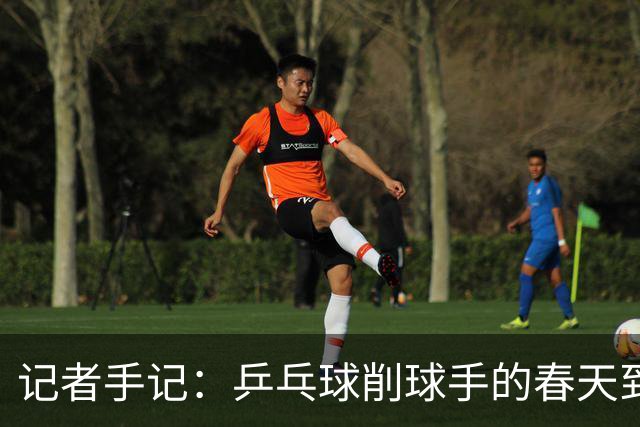 记者手记：乒乓球削球手的春天到了吗？