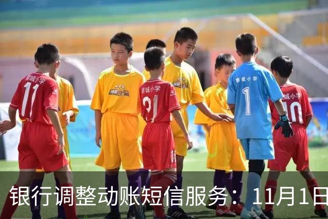 银行调整动账短信服务：11月1日起，免费提醒规则有变