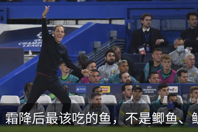 霜降后最该吃的鱼，不是鲫鱼、鲈鱼，而是这3种鱼，鲜美营养易吸收，肉多刺少还不贵，别不懂吃！