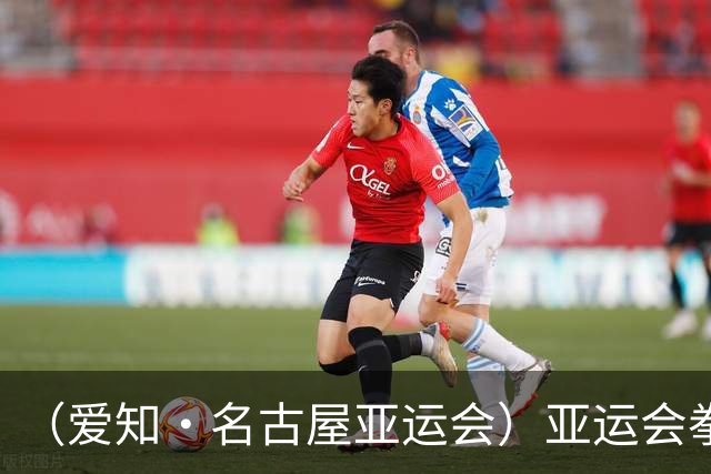 （爱知·名古屋亚运会）亚运会拳击争霸 ：中国名将吴愉女子51公斤级夺金