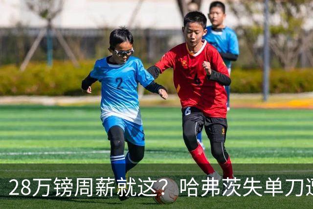 28万镑周薪就这？哈弗茨失单刀遭炮轰，阿森纳三球惨败布莱顿