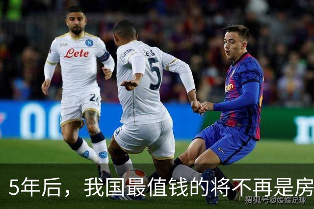 5年后，我国最值钱的将不再是房子、车子，而是这4样东西？